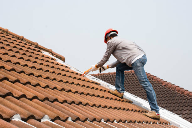 Best Sheet Metal Roofing  in Advae, NC