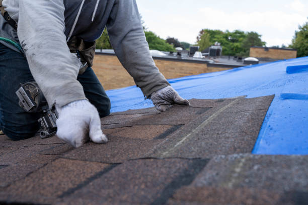 Best Roof Moss and Algae Removal  in Advae, NC